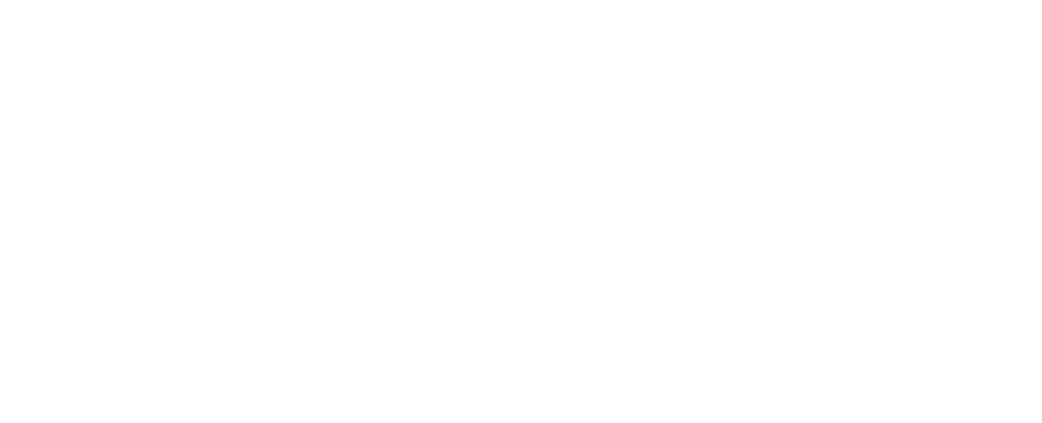wolpin enterprises footer logo