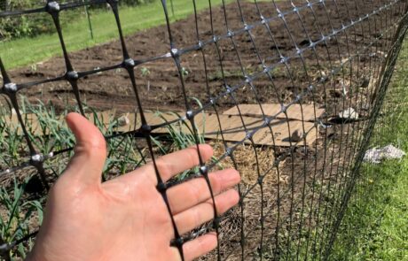 Hand through fencing in field garden