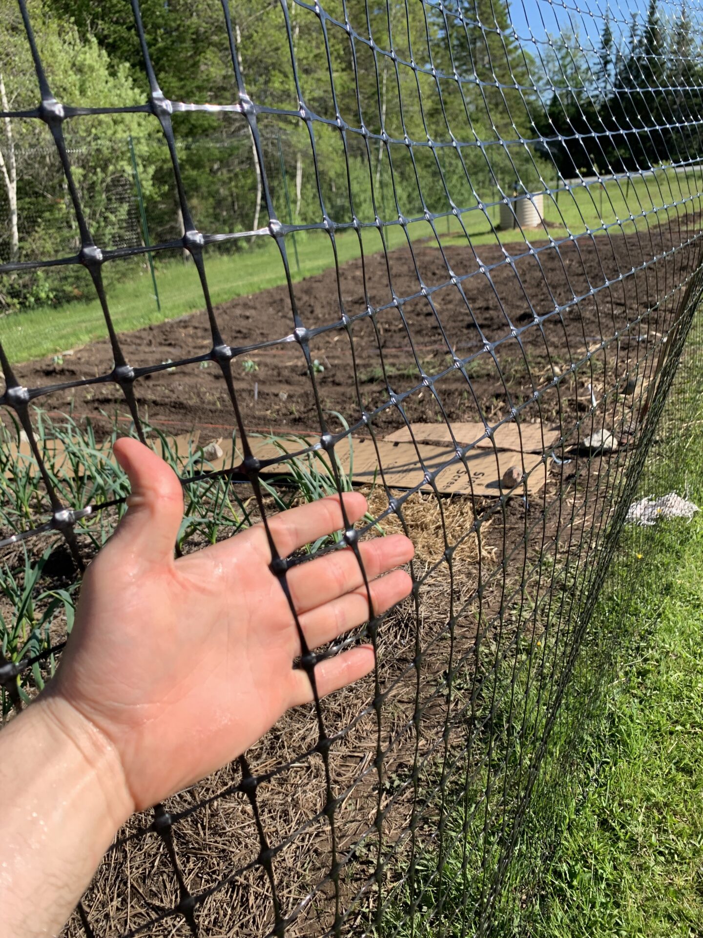 Hand through fencing in field garden