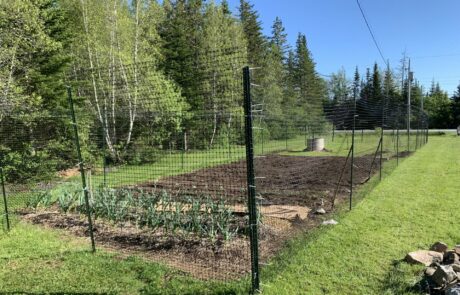 Field garden with crops and deer fencing with fence posts