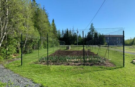 Field garden with crops and fencing with t posts